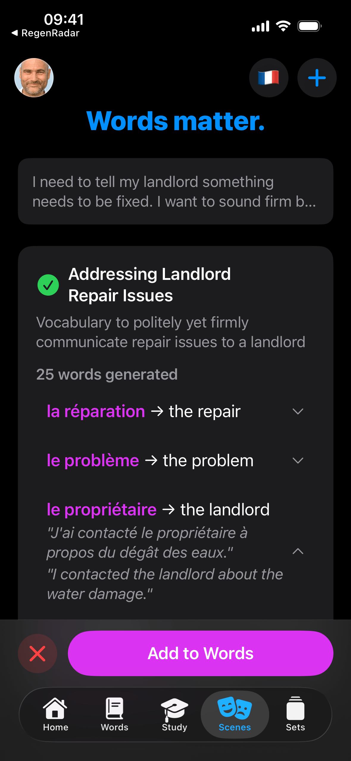 Vokabulo app showing a Scenes vocabulary set on iPhone