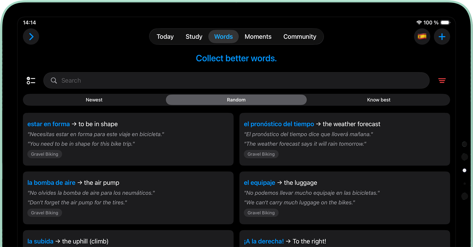 Vokabulo app on iPad