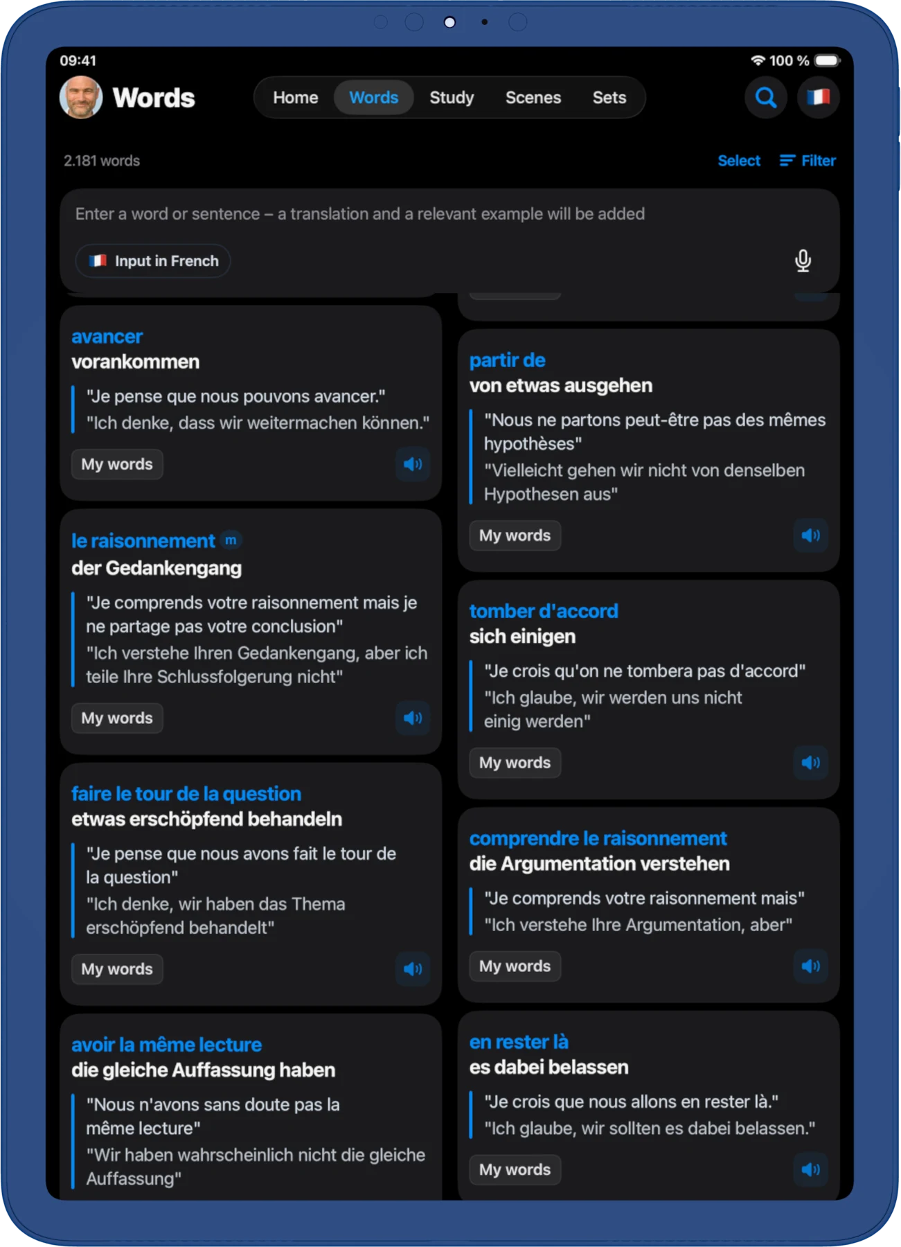 iPad, dark. El vocabulario propio: cada palabra guardada con su traducción y sus frases de ejemplo.